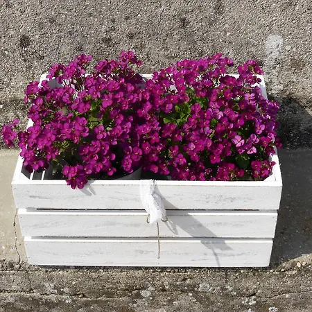 La Terrazza Di
